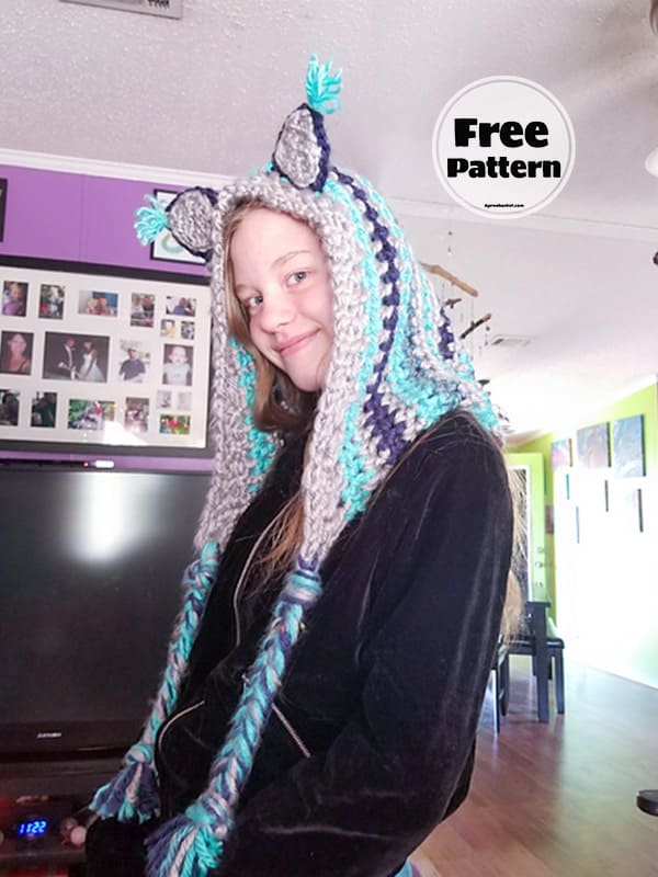 Cat Ears Crochet Hoodie Pattern Free