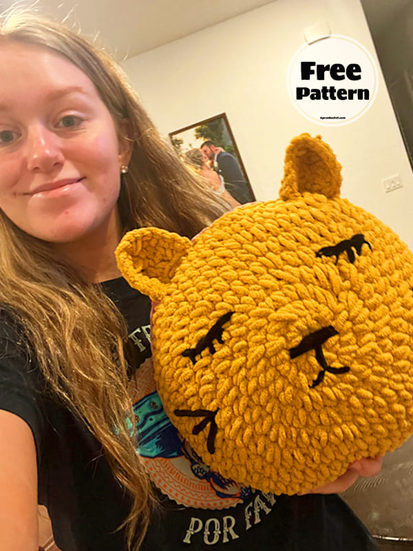 Circle Free Crochet Cat Pillow Pattern PDF 