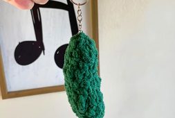 free-crochet-pickle-keychain-pattern