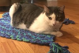 free-crochet-cat-mat-pattern