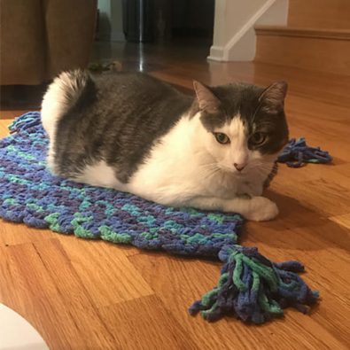 free-crochet-cat-mat-pattern