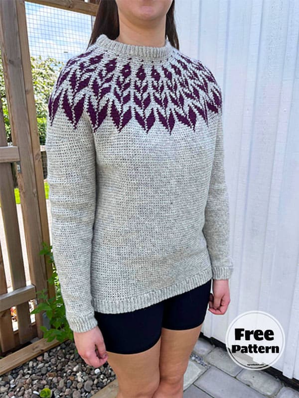 Star Crochet Fall Sweater Free Pattern