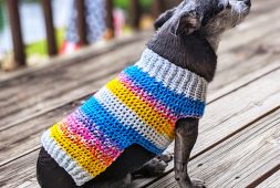 tricolor-free-small-dog-sweater-crochet-pattern