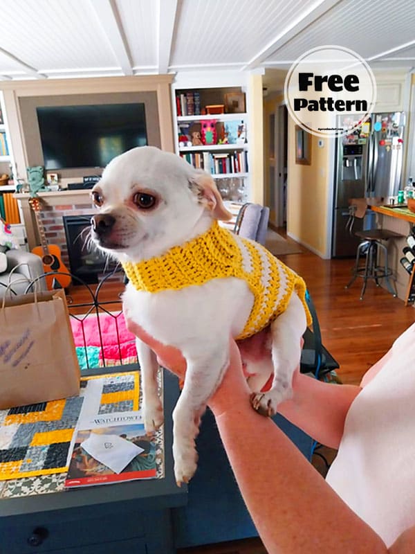 Sweet Free Crochet Pattern For Small Dog Sweater